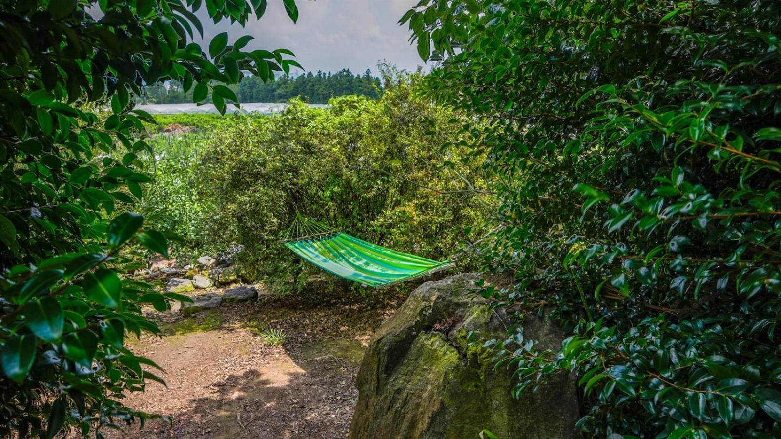 Jeju Eco Suites Seogwipo Dış mekan fotoğraf