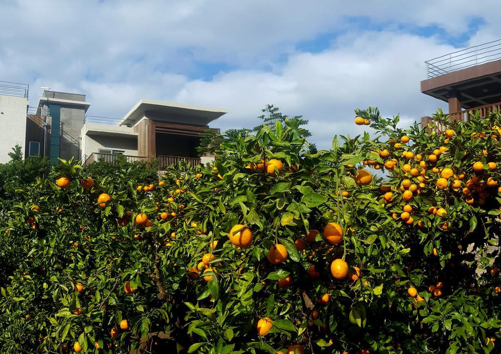Jeju Eco Suites Seogwipo Dış mekan fotoğraf