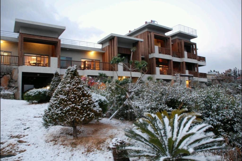 Jeju Eco Suites Seogwipo Dış mekan fotoğraf
