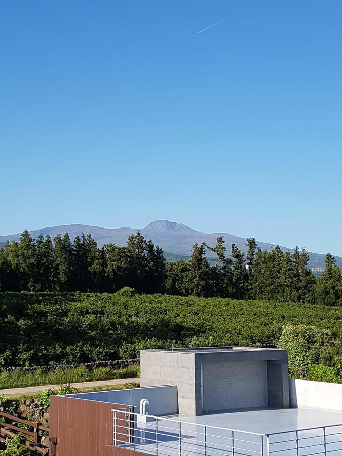 Jeju Eco Suites Seogwipo Dış mekan fotoğraf