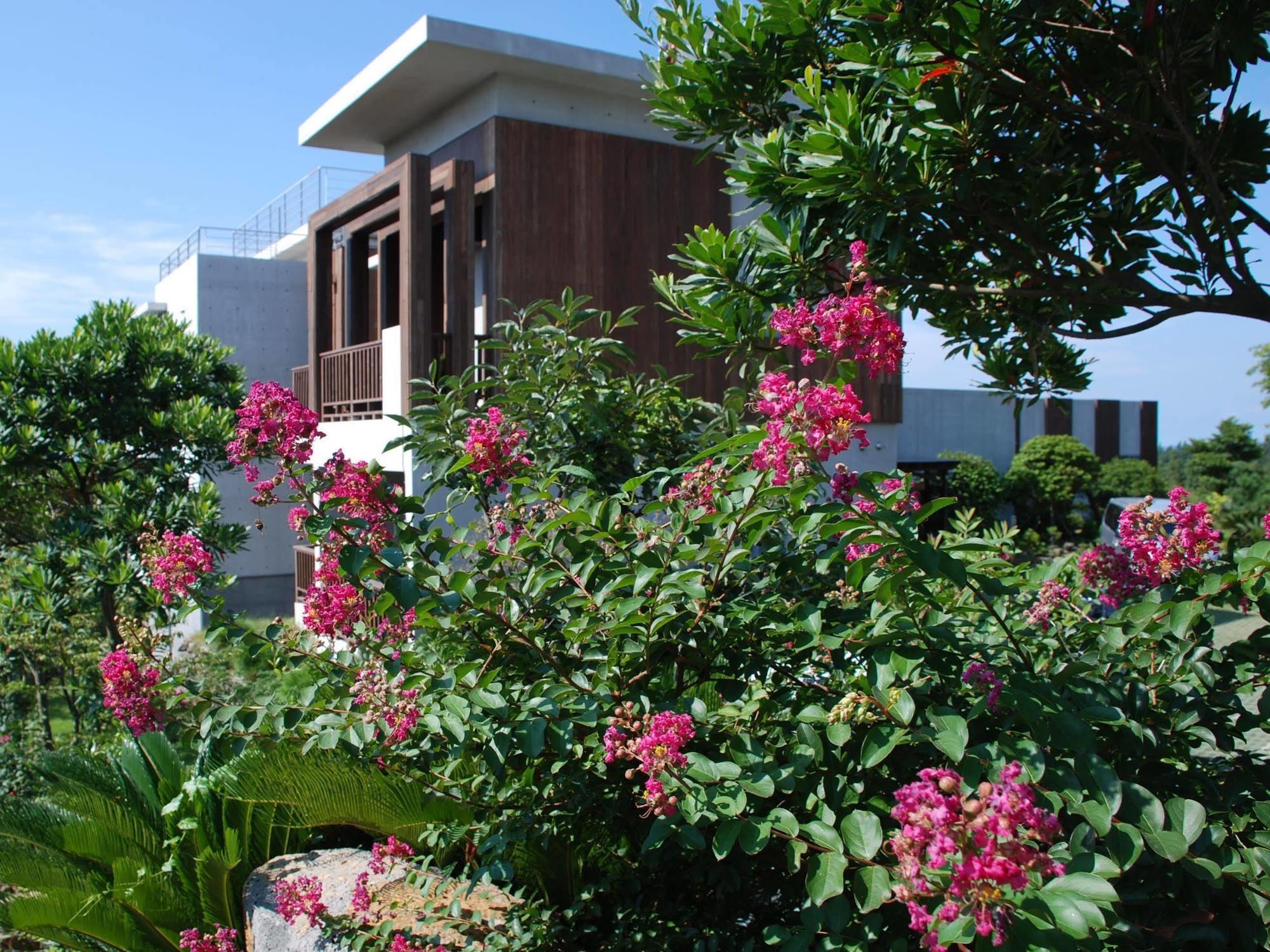 Jeju Eco Suites Seogwipo Dış mekan fotoğraf