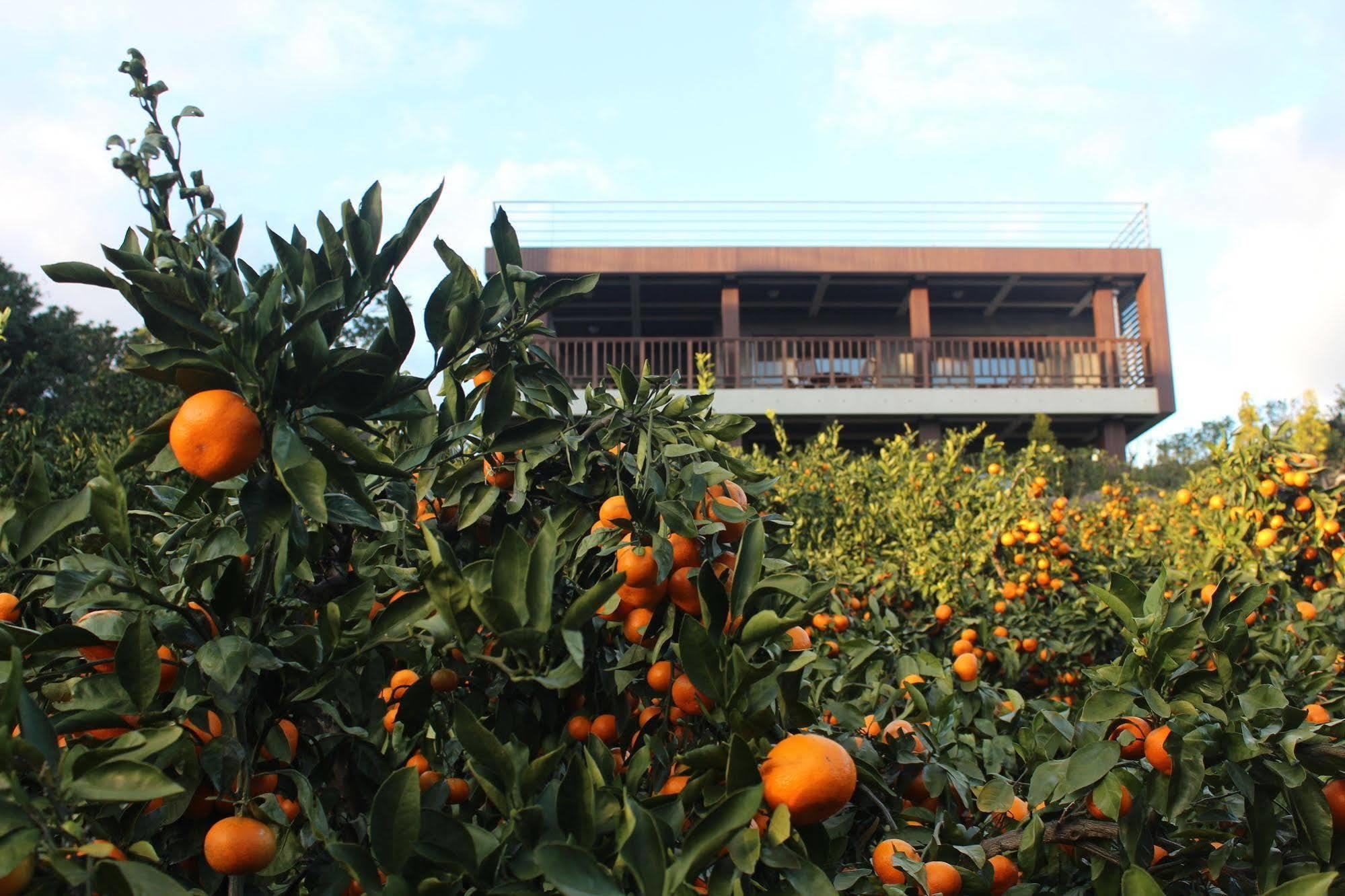 Jeju Eco Suites Seogwipo Dış mekan fotoğraf